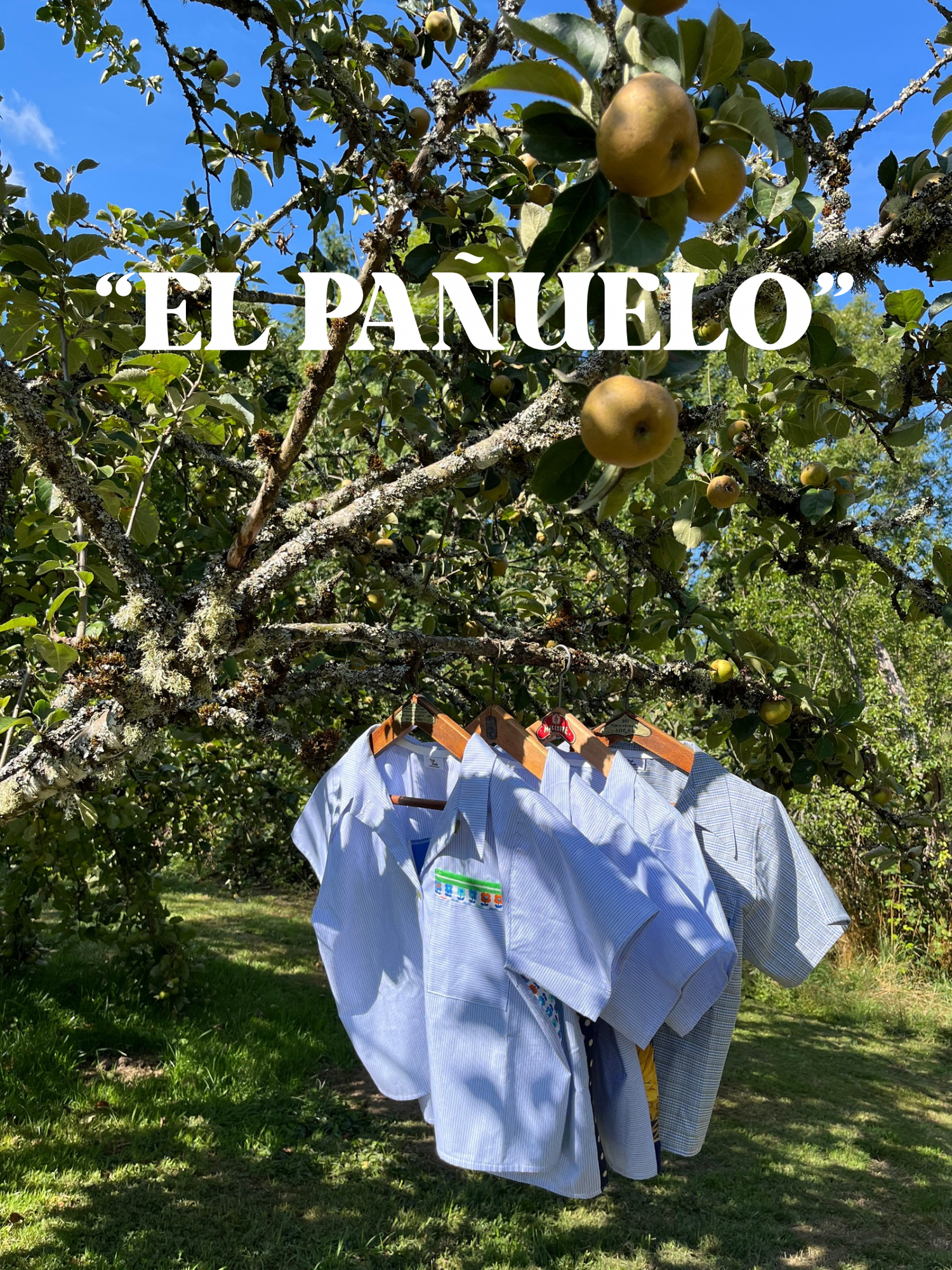 Collection capsule « El Pañuelo »